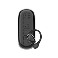 D55 (Open-ear)